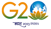 The G20